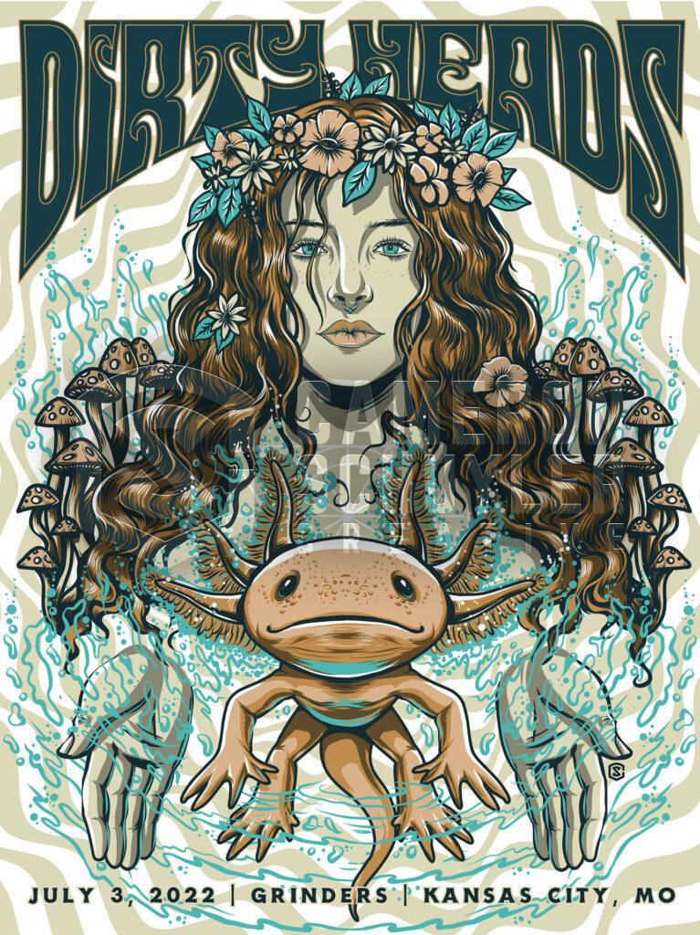 Dirty Heads Spirit Animal Tour Poster Concept